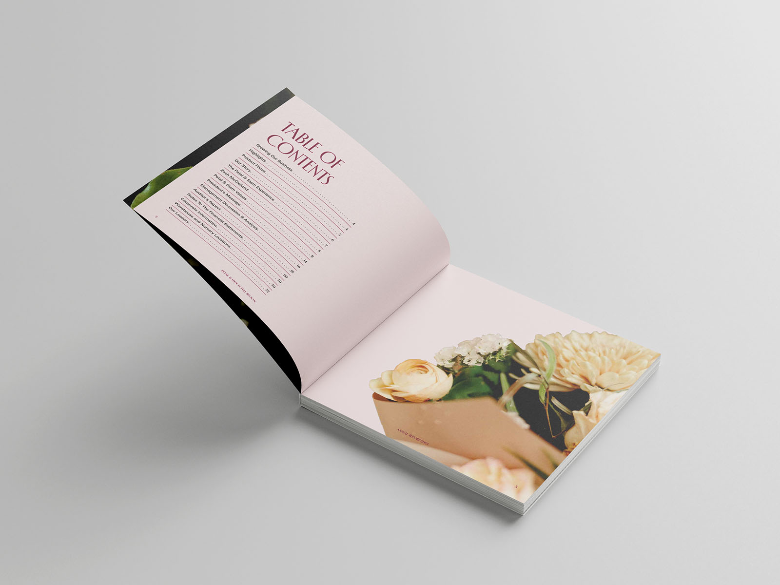 Table of contents mocked up